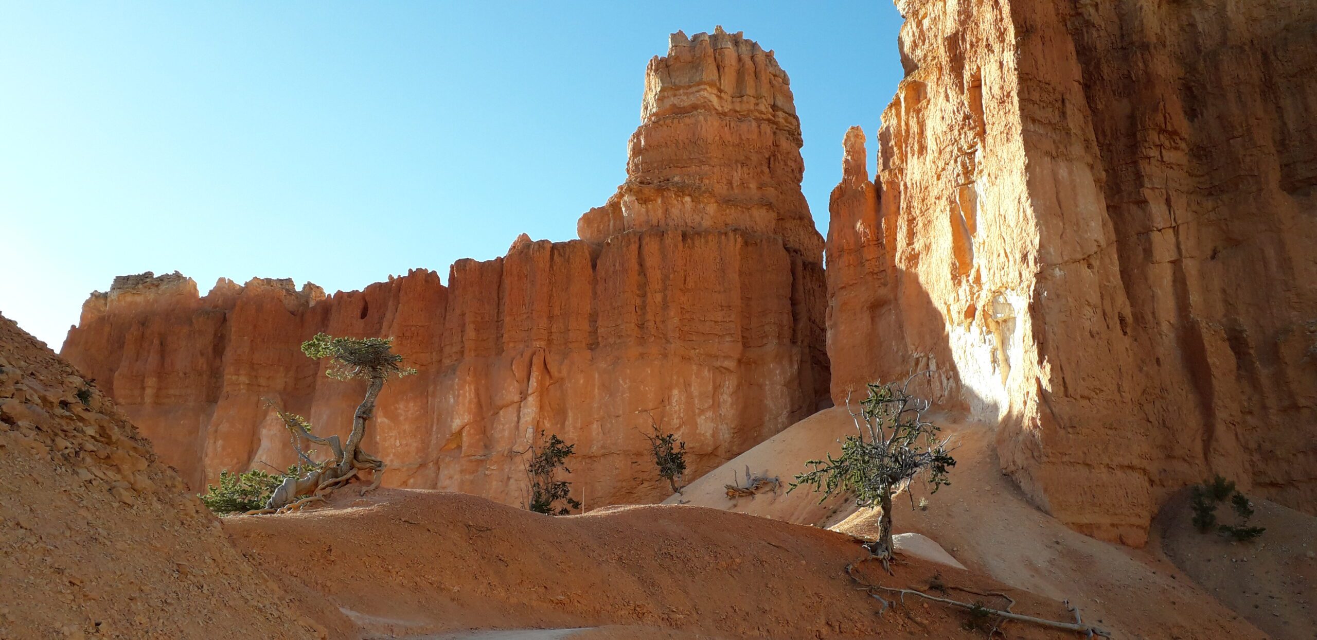 Canyon